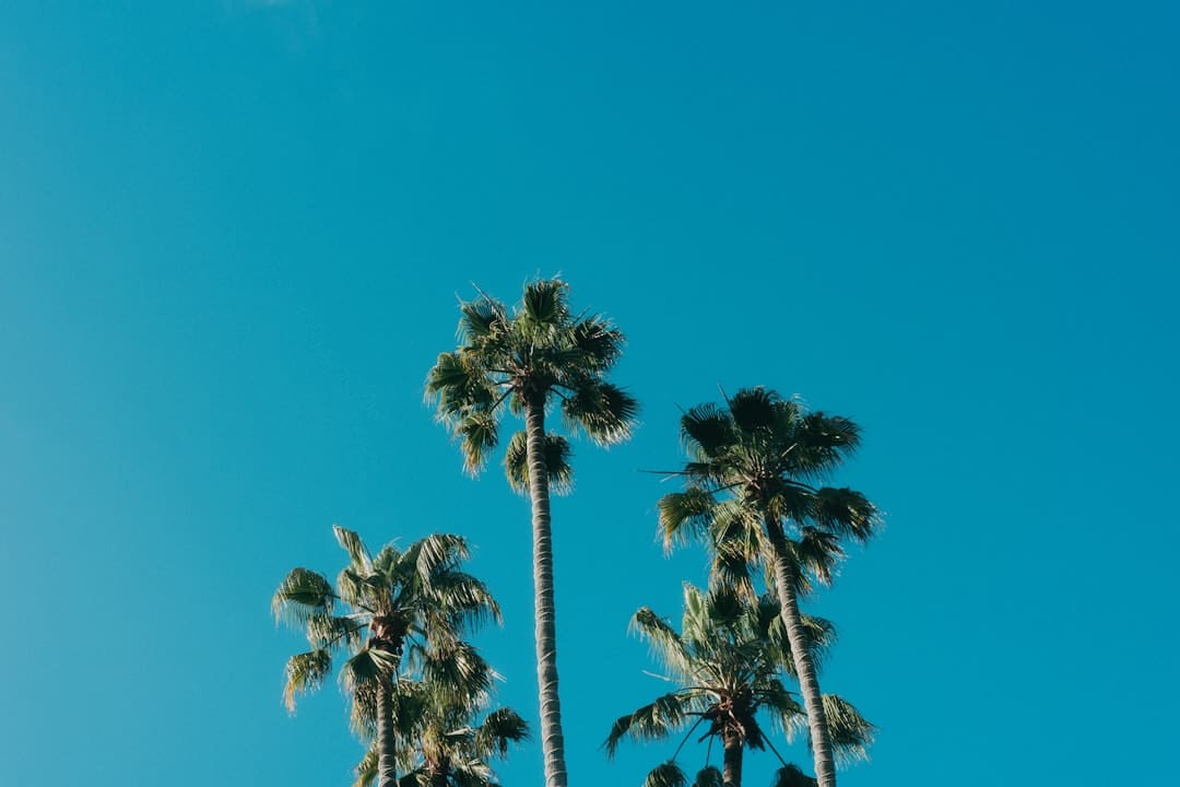 融资技能双驱动 自动驾驶商业化继续提速